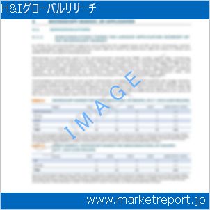 市場と産業調査レポートのイメージ